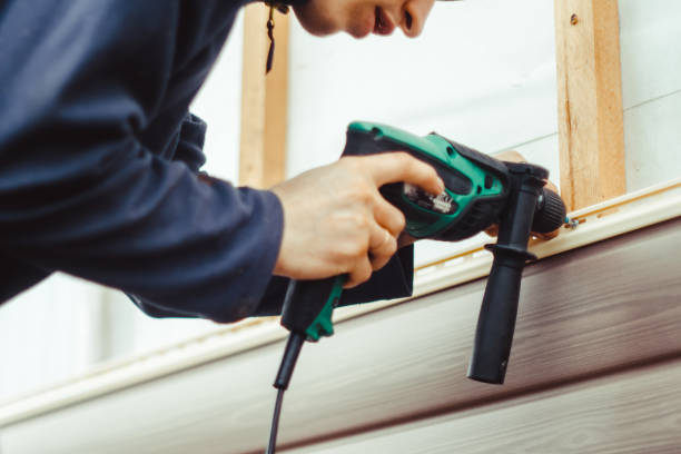 Best Aluminum Siding Installation  in St Joseph, IL